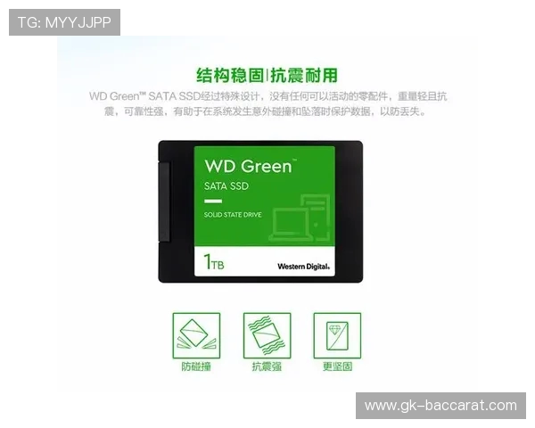 西部数据1TB移动固态硬盘专为游戏设计极速传输高效存储 西部数据1TB移动固态硬盘专为游戏设计极速传输高效存储